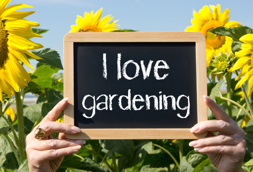 Getting Started in Container Gardening